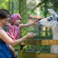 Famiienausflug in den Vogel und Tierpark Abensberg