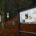 Infotafel "Bayerns schönste Geotope" unter der Basaltwand am Parkstein