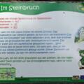 Im Steinbruch