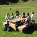 Seelen Alpe - Allgäuer Picknickplätze