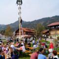 Maibaum Ofterschwang