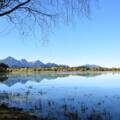 Forggensee mit Allgäuer Alpen im Hintergrund
