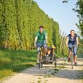 Radfahren im Hopfenland Hallertau