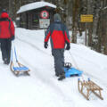 Rodelbahn Sachrang 