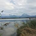 Blick über den Hopfensee