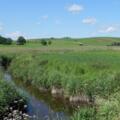 An der Lobach