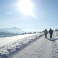 Winterwanderer am Rottachsee