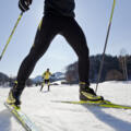 Langlauf im Chiemsee-Alpenland