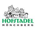 Hofstadel Mönchberg