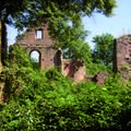 Ruine Kollenburg