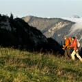 Wandern im Chiemsee-Alpenland