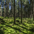 Wandern im Chiemsee-Alpenland