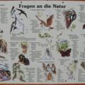 Übersichtstafel Naturerlebnispfad Brannenburg 
