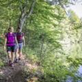 Wandern am Langbürgner See