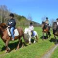 Reiten