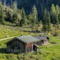 Die Gotzentalalm auf dem Weg zur Gotzenalm