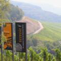 Weinsicht am Aussichtspunkt „terroir f Stetten“