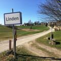 Linden