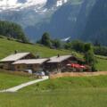 Senninger Alm