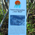 Infotafel Naturschutzgebiet Auer Ried.