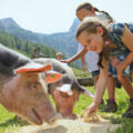 Tierische Erlebnisse auf der Marbachalm