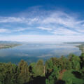 Bodensee-Panorama vom Pfänderrrücken
