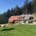 Bergerbauern Reith © Vögerl