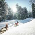 Rodeln in Gmund am Tegernsee