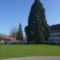 Kloster Wettingen-Mehrerau bei Bregenz