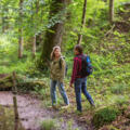 Wandern in Bad Kissingen