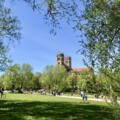 Fahrradweg in den Isarauen mit Blick auf Maximilianskirche