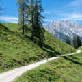 Mountainbiker auf dem Weg über die Büchsenalm zur Gotzenalm