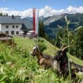 Berggasthof Grabs im Sommer