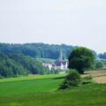 Blick auf die Wallfahrtskirche St. Alban in Taubenbach