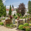 Friedhof und Münster St. Zeno