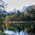 Der Böcklweiher: Einer der schönsten Weiher überhaupt