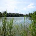 Buxheimer Weiher