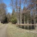 Der Weiher beim Wanderparkplatz