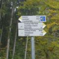 Wanderwegweisen im Eisenburger Wald