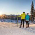 Langlaufen auf der Höhenloipe Rossbrand