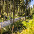 Flachau am Gravel-Bike entdecken!