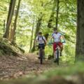 Radsport im Thüringer Wald am Rennsteig