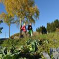 Wandern am Hoader-Steig