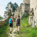 Wanderweg zur Burgruine Prandegg