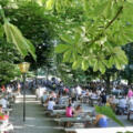 ayerische Gemütlichkeit unter Kastanienbäumen - der Biergarten Schloßallee Haag
