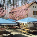 Biergarten Plantage Freising
