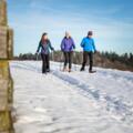 Schneeschuhwandern in Haibach