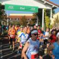 Teilnehmer beim Medical Park Marathon