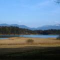 Wunderschöner Blick über den Breitenauer See auf die Alpenkette.