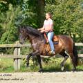 2021-Reitkunst Carmen Fromm